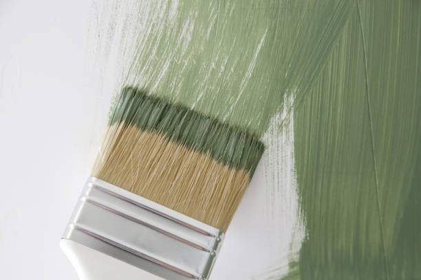 Best Mold Remediation for Healthcare Facilities  in Murrells Inlet, SC