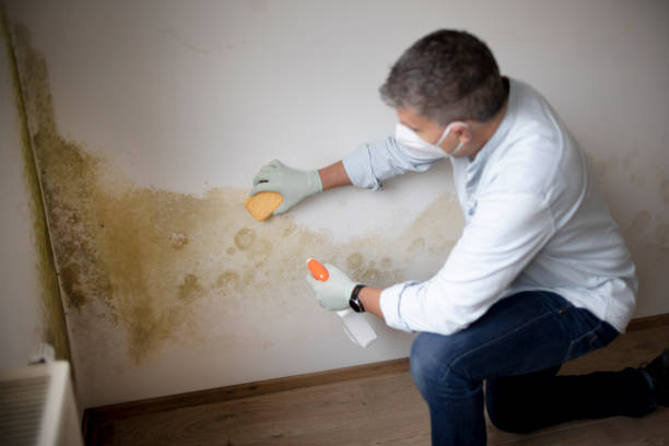 Best HVAC Mold Inspection and Cleaning  in Murrells Inlet, SC